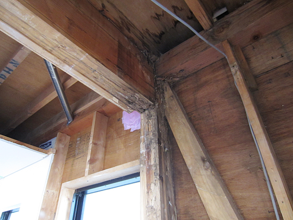 中古住宅の腐食した柱を取替―大地震に備えて耐震補強 中古住宅の腐食した柱を取替―大地震に備えて耐震補強